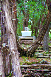 Land Art Gallery in Austin Texas By Artist Dapacu