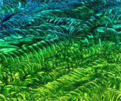 The Most Expensive Painting Ever Sold by Dapacu